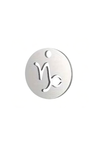 Sternzeichen Mini Charm 3D in Silber. Charm Anhänger mit astrologischem Symbol